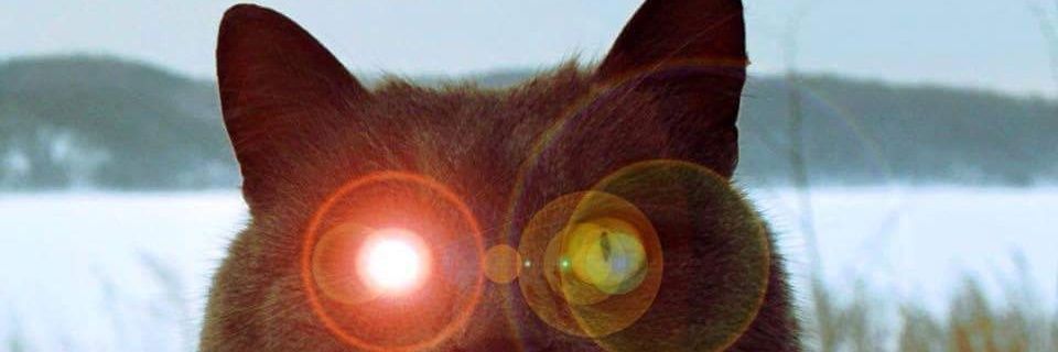 a_nikolaeff's profile banner image