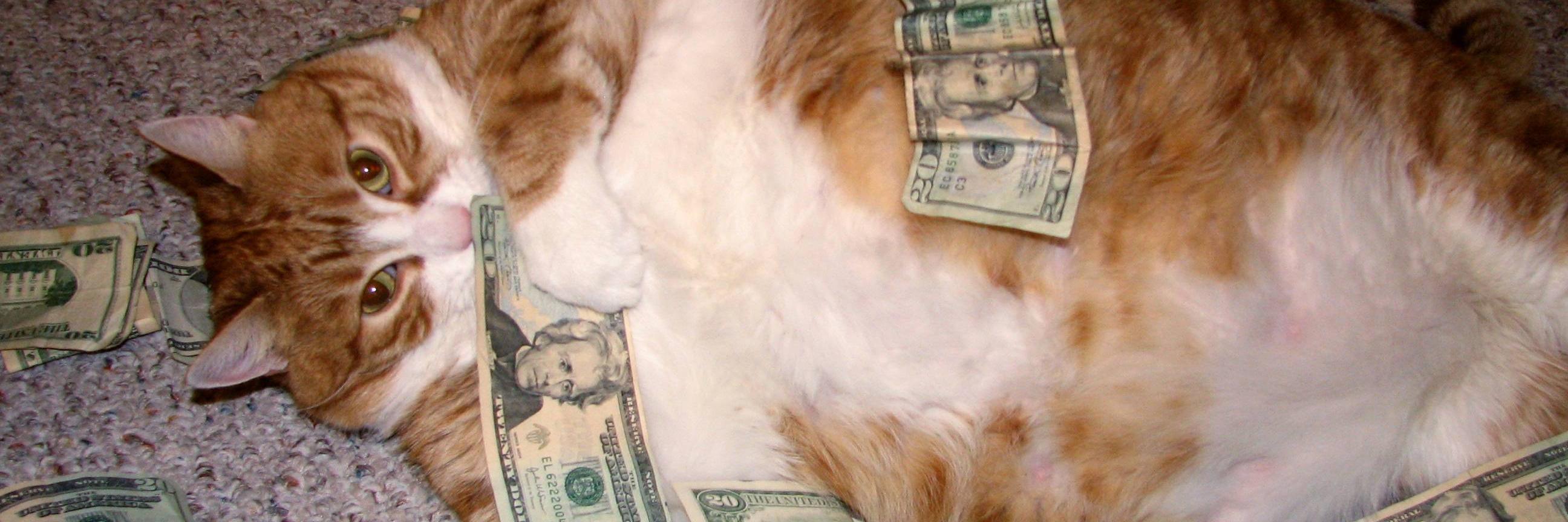 b0nz0r's profile banner image