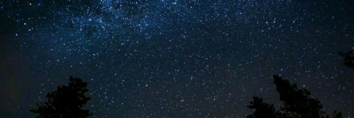 samantaf25's profile banner image