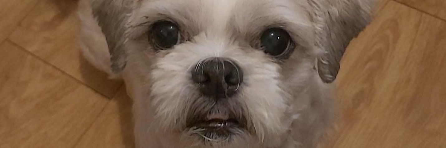 AnnetteHardiman's profile banner image
