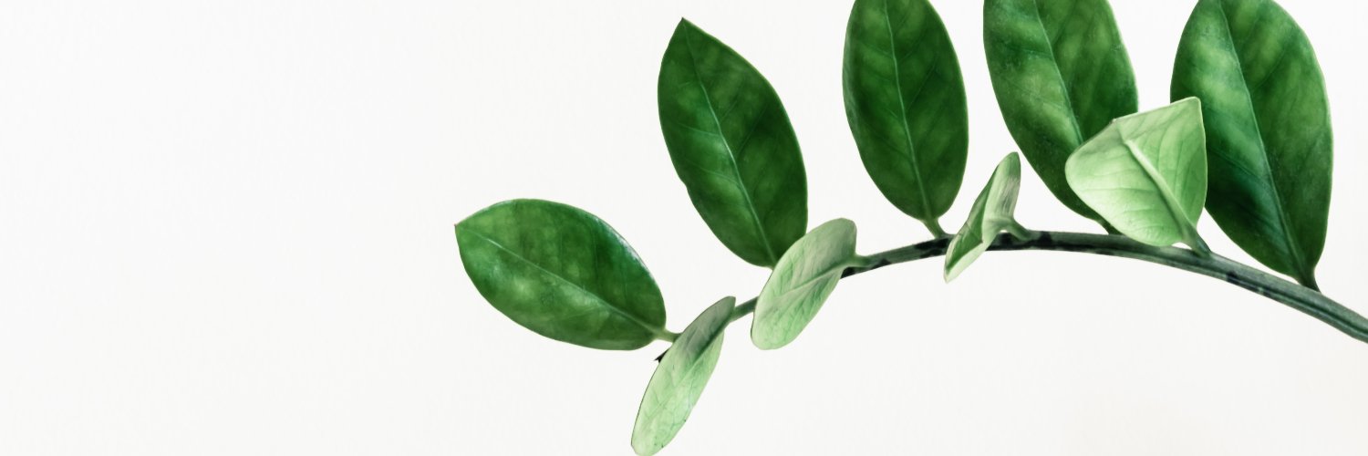 EmmProvost's profile banner image