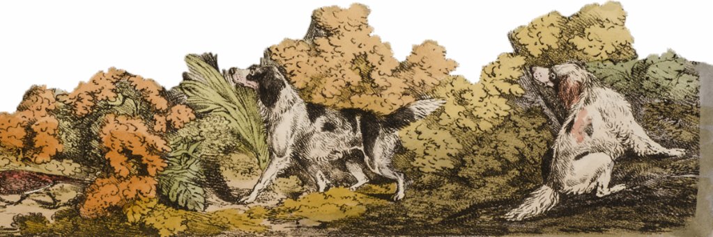 CumminsBooks's profile banner image