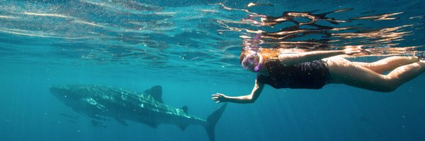 Dr_AlexandraCam Profile Banner