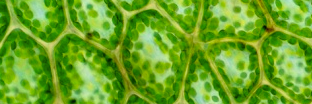 _backtothePLAST's profile banner image