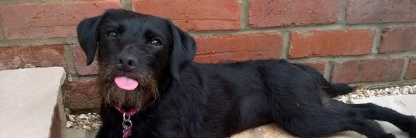 eduosborne Profile Banner