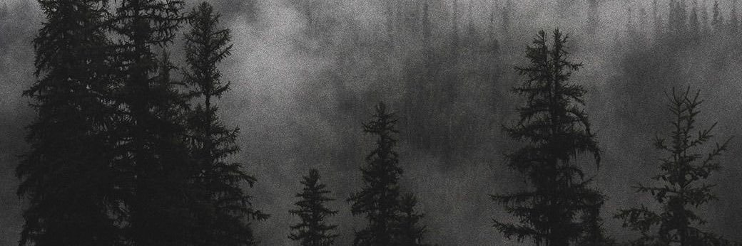 dalarioooo's profile banner image