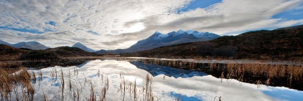 YoungFilmsYF Profile Banner