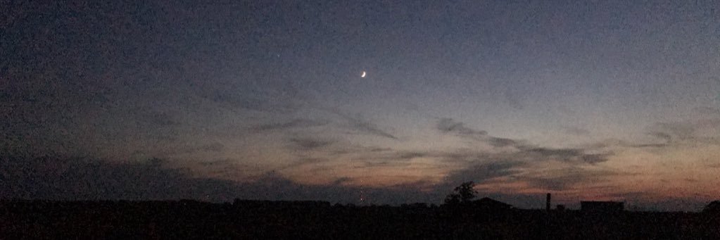 maddygoodling's profile banner image