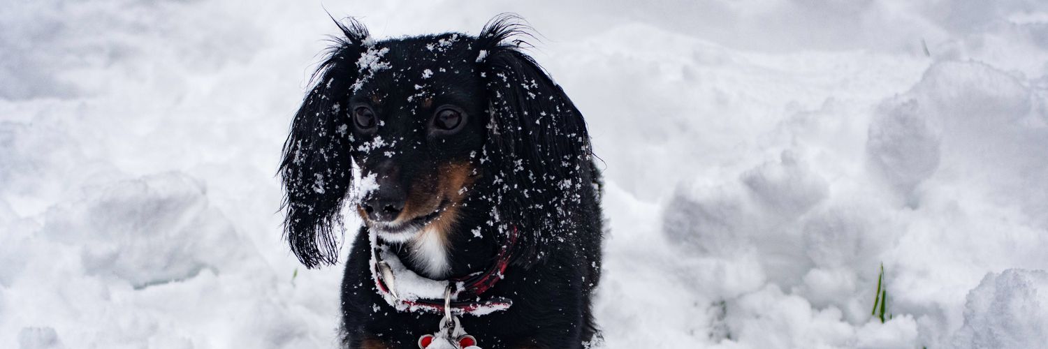 ChrisCjacobs151's profile banner image