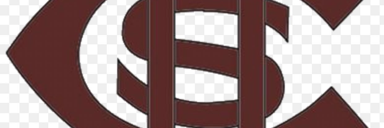 JV Central Baseball banner