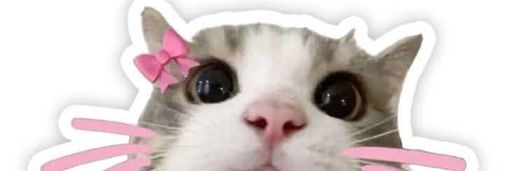 onlytotest2's profile banner image