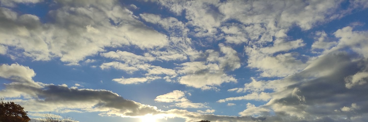 nickylwarren's profile banner image