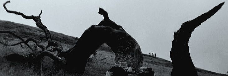 rat, like the rodent 🐀 banner