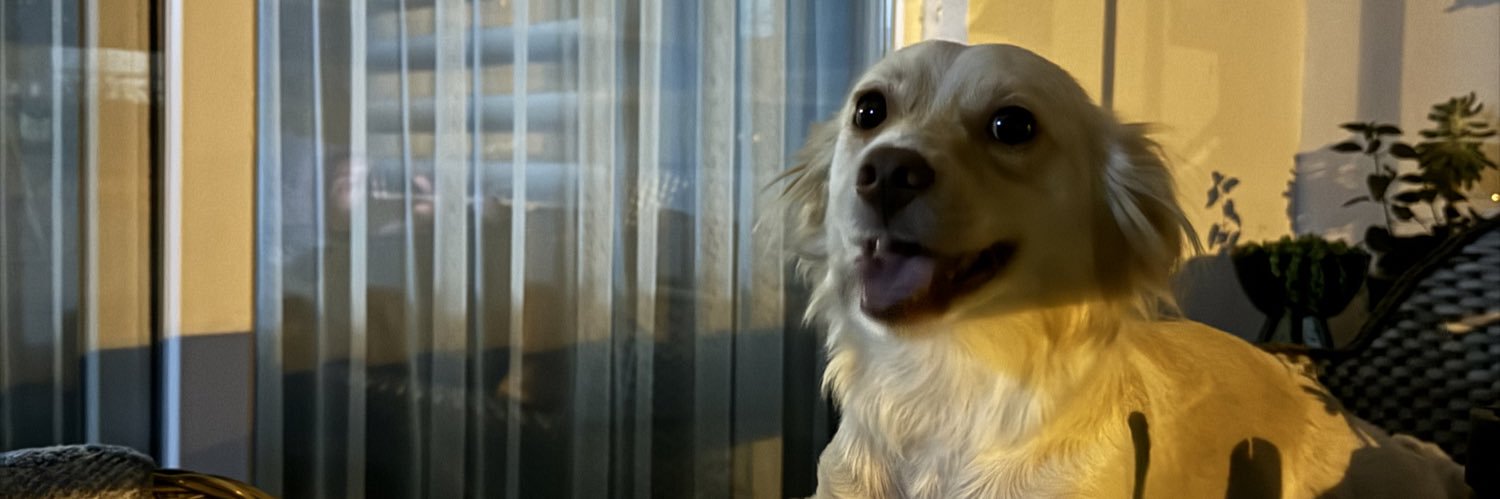 SmallLaugh_'s profile banner image