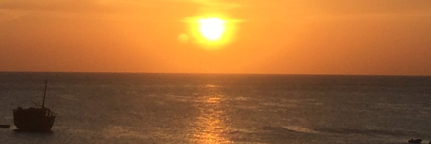 Mimsfrisch's profile banner image