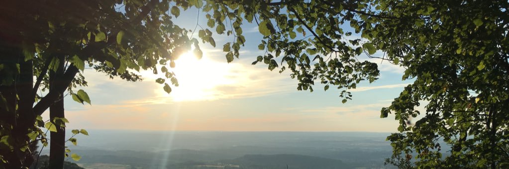 PicCom's profile banner image