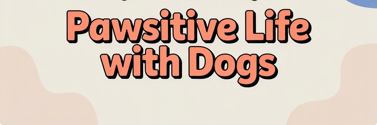 pawsitive_haven's profile banner image