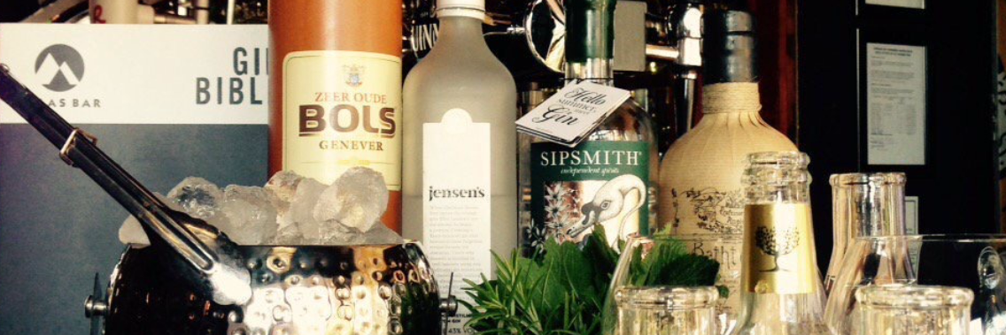 The Gin Bible's banner