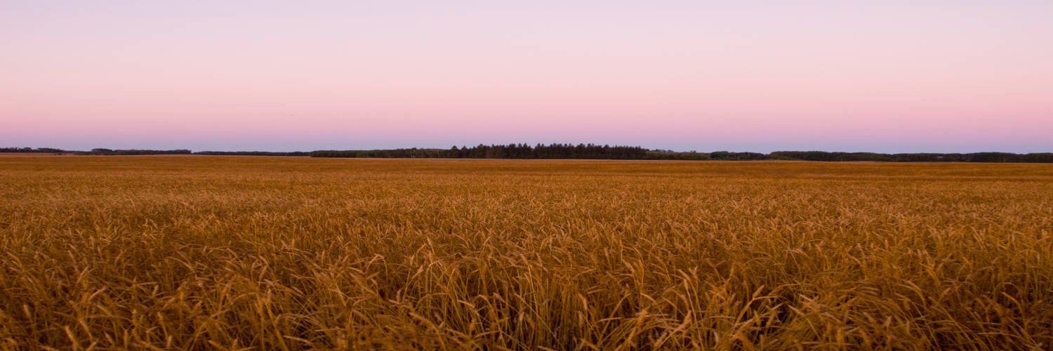 YorkBaptists's profile banner image