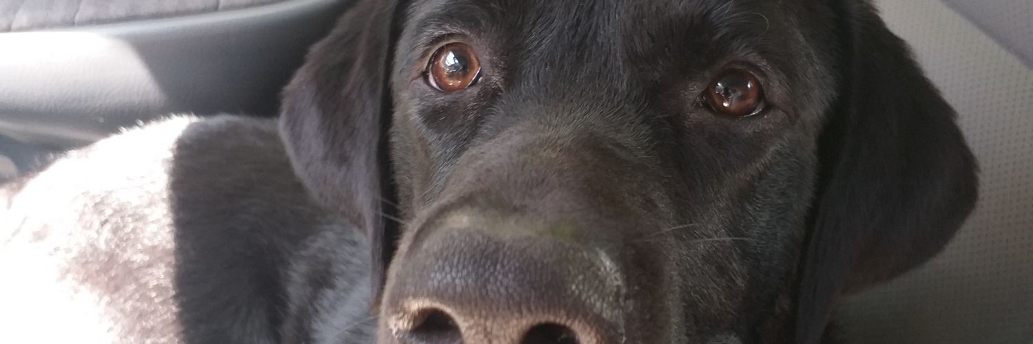 laoooooooooooo's profile banner image