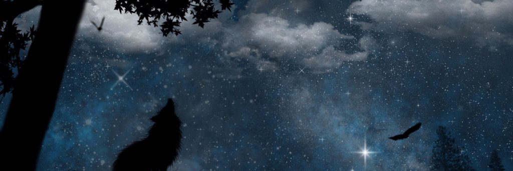 Trouble🇺🇦🇬🇧✡️ banner