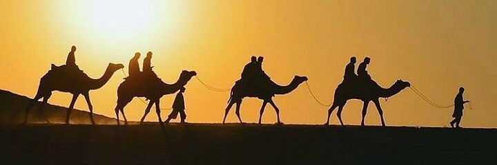 hamshiddiq's profile banner image