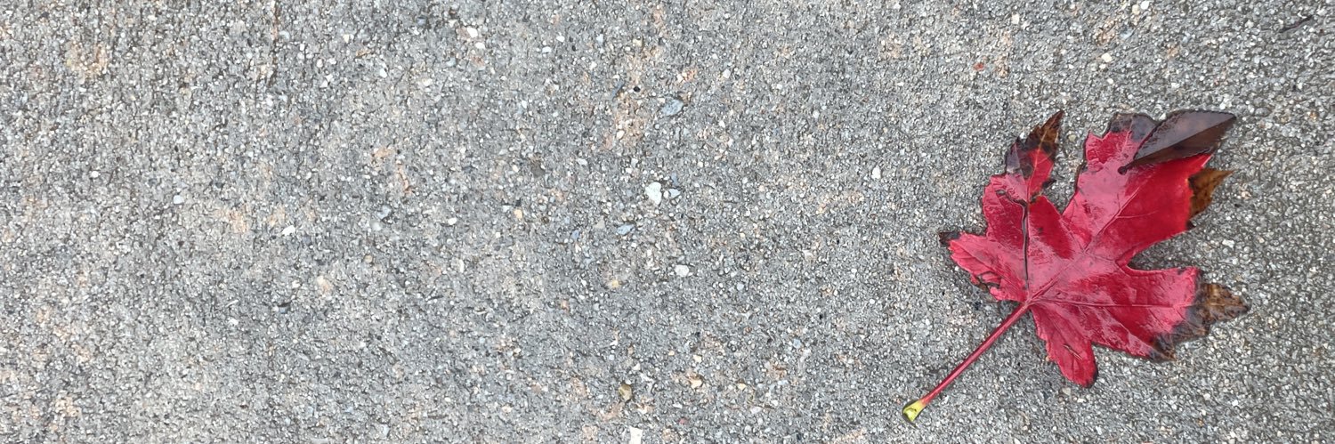 eJOYfree's profile banner image