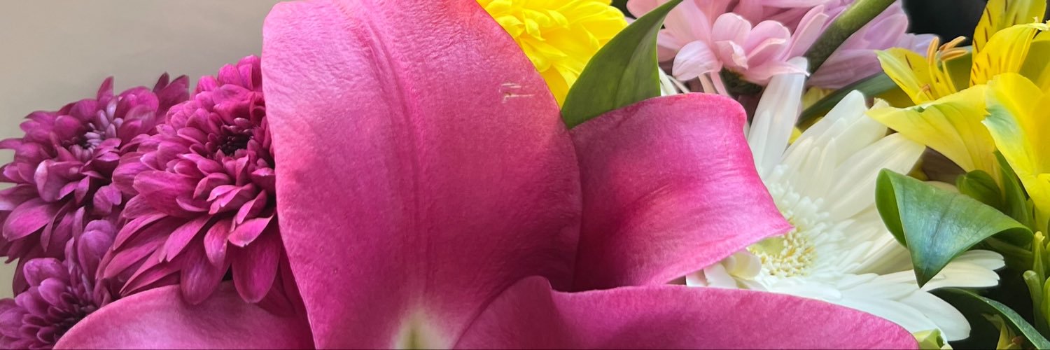 julisegale's profile banner image
