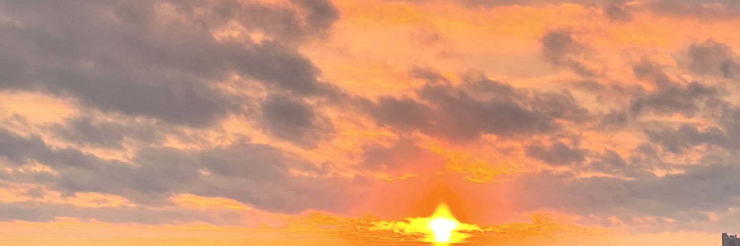 solnceva1's profile banner image