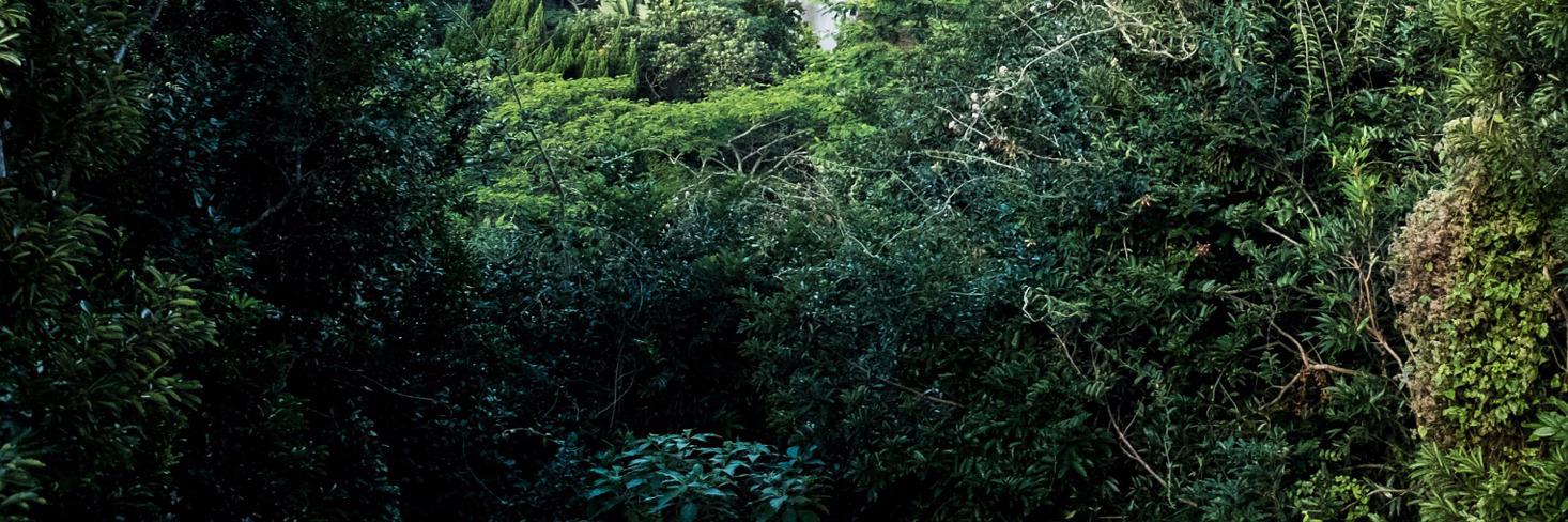 hashtagtype's profile banner image