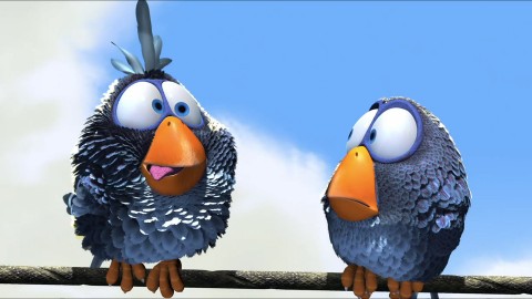 BirddiE81's profile banner image