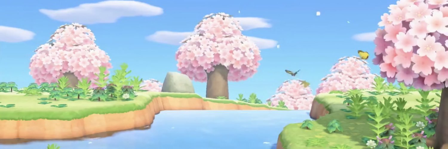 natenickolai's profile banner image