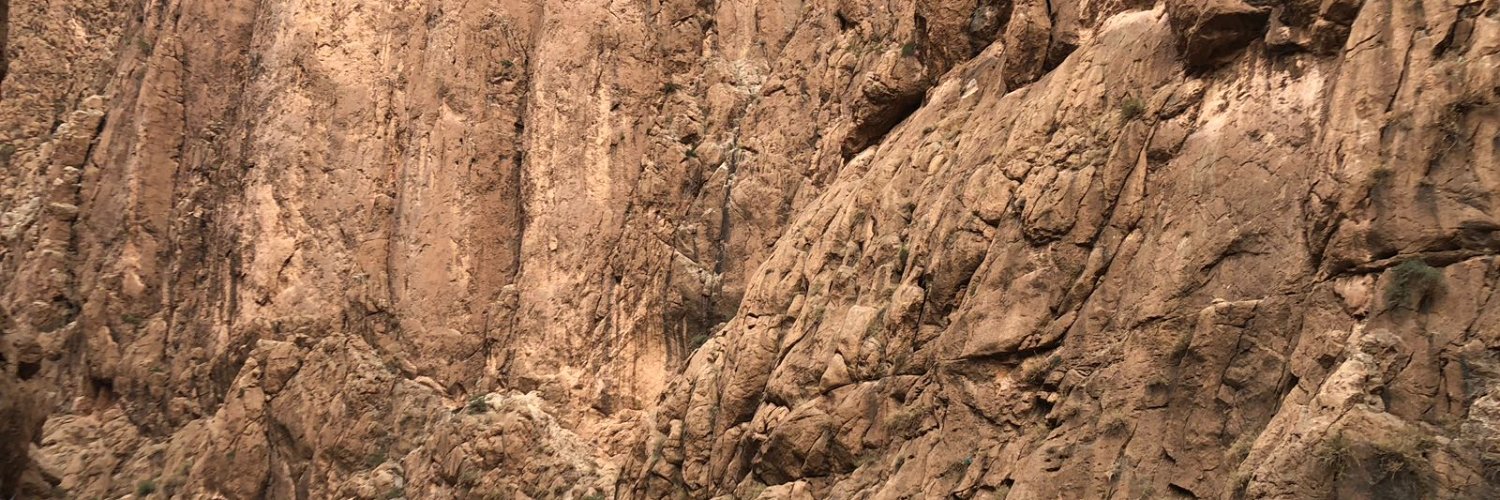 shaispirit_'s profile banner image