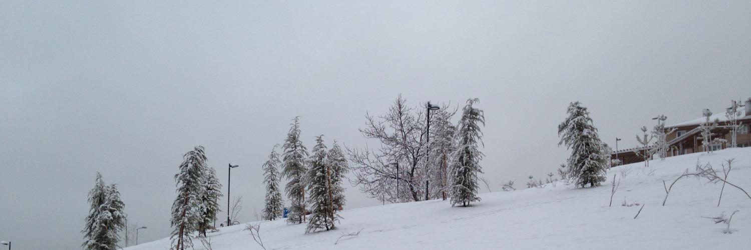 selcuks61's profile banner image