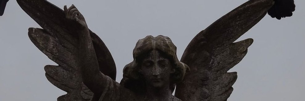 nevermindsky's profile banner image