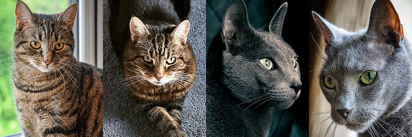 Debbie Skerten banner