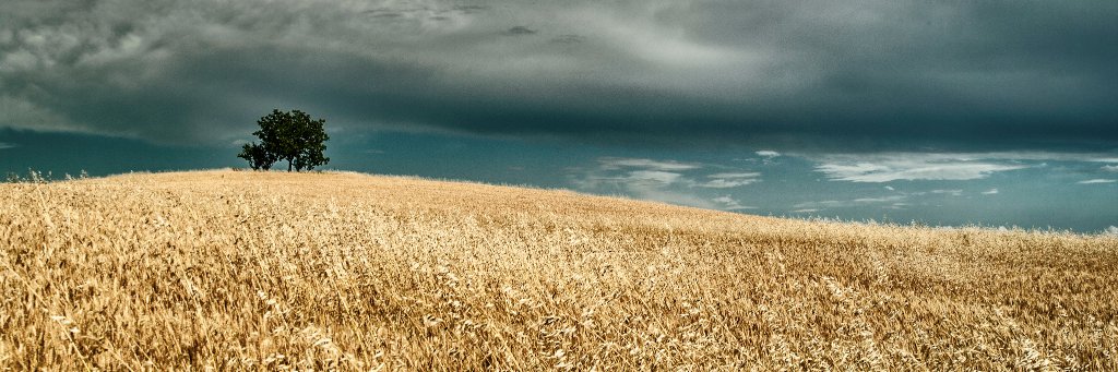 monfdel's profile banner image