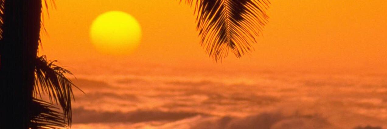 WildBill_1's profile banner image