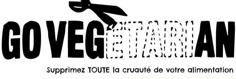 Mlle K banner