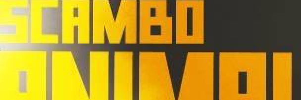 scambooficial's profile banner image