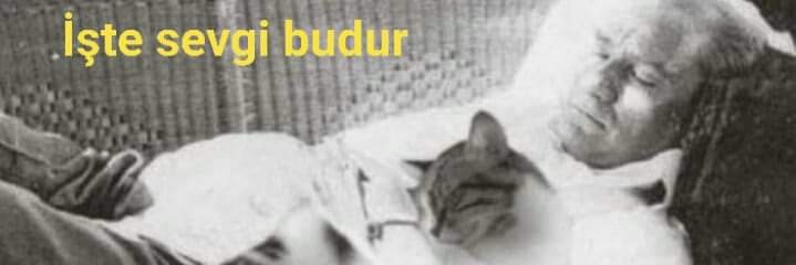 dillbeste's profile banner image
