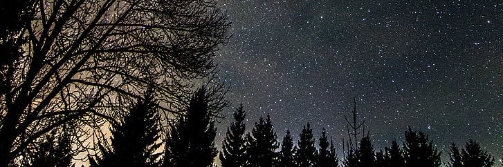 davidearleyy's profile banner image