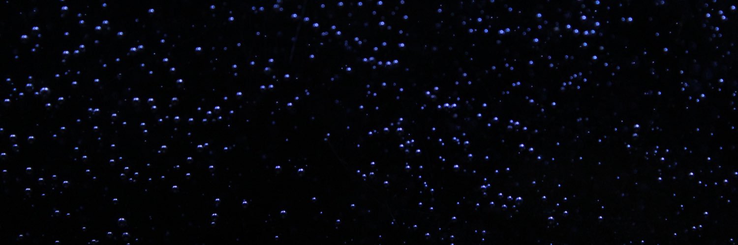 aelclea's profile banner image