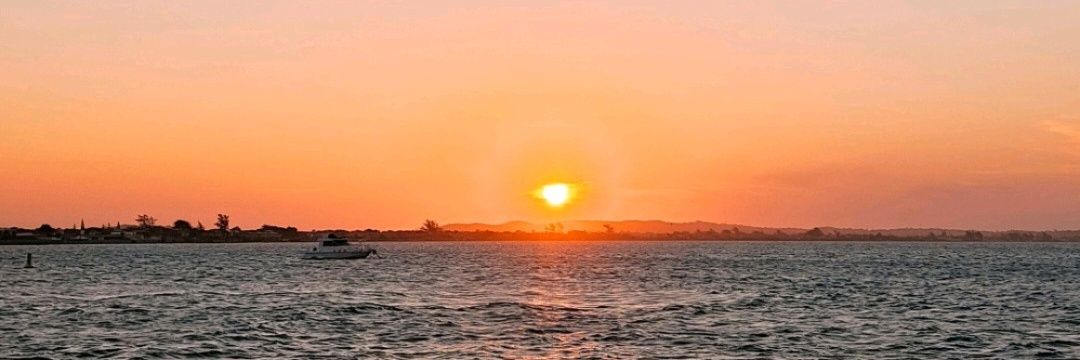 stxllet's profile banner image