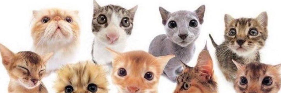 _dalexx's profile banner image