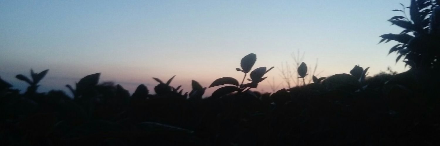 rooneze2's profile banner image