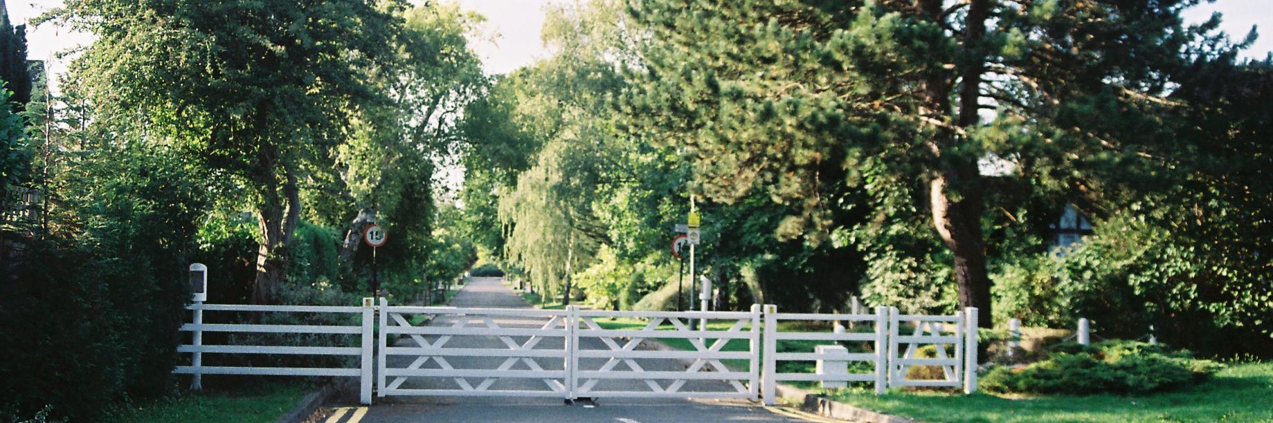 ewelldownsra's profile banner image
