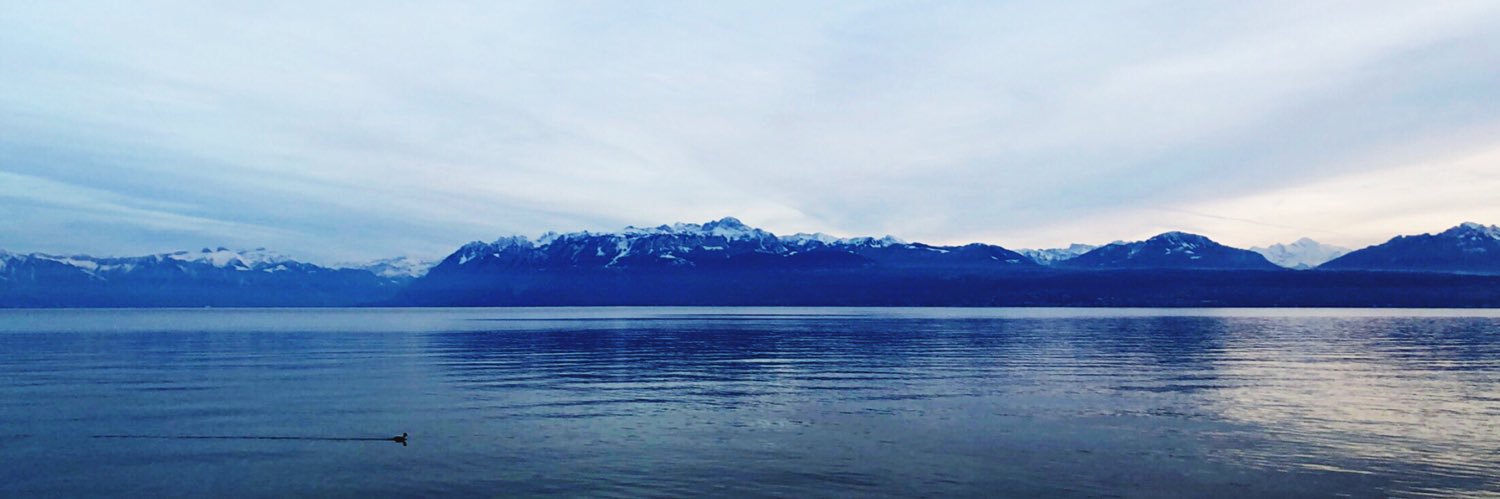 Louis Stavart banner