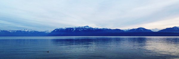 LouisStavart Profile Banner