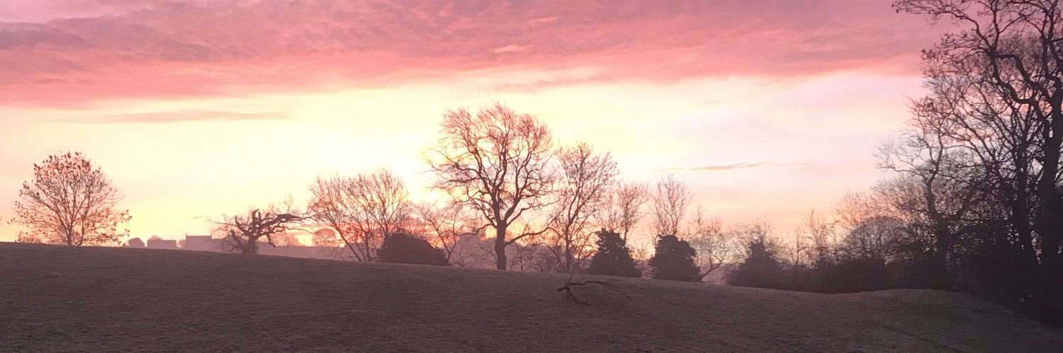 SJFletcher's profile banner image